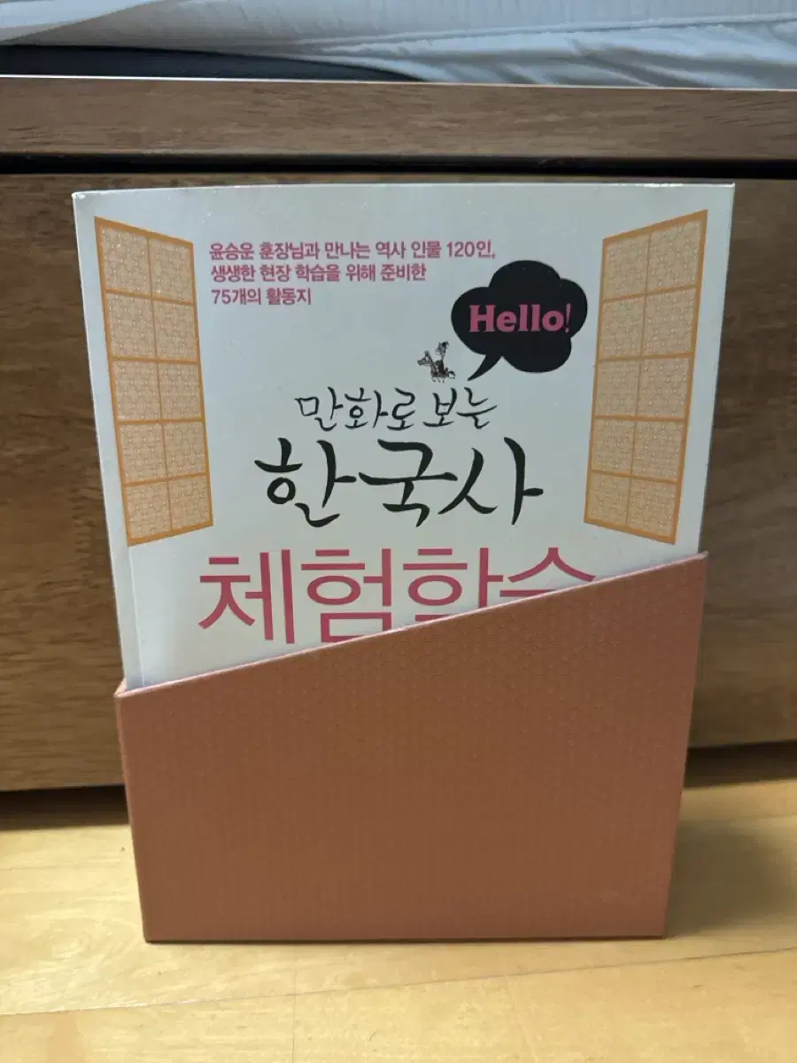 만화로 보는 한국사